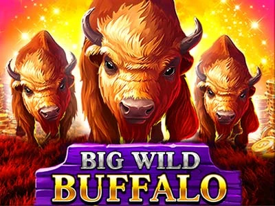 Decode Casino game big wild buffalo